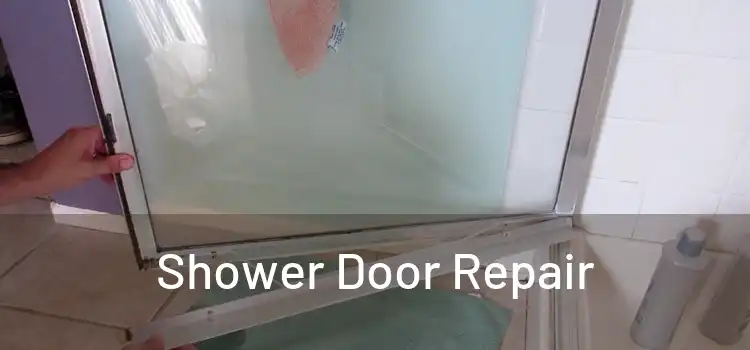 Shower Door Repair